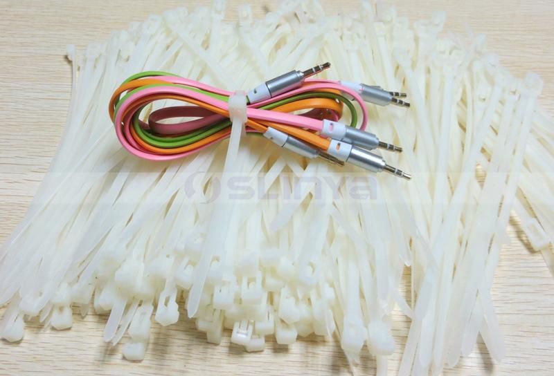 25PCS Per Bag Universal Heat Resistance Self Locking Reusable Nylon Cable Tie