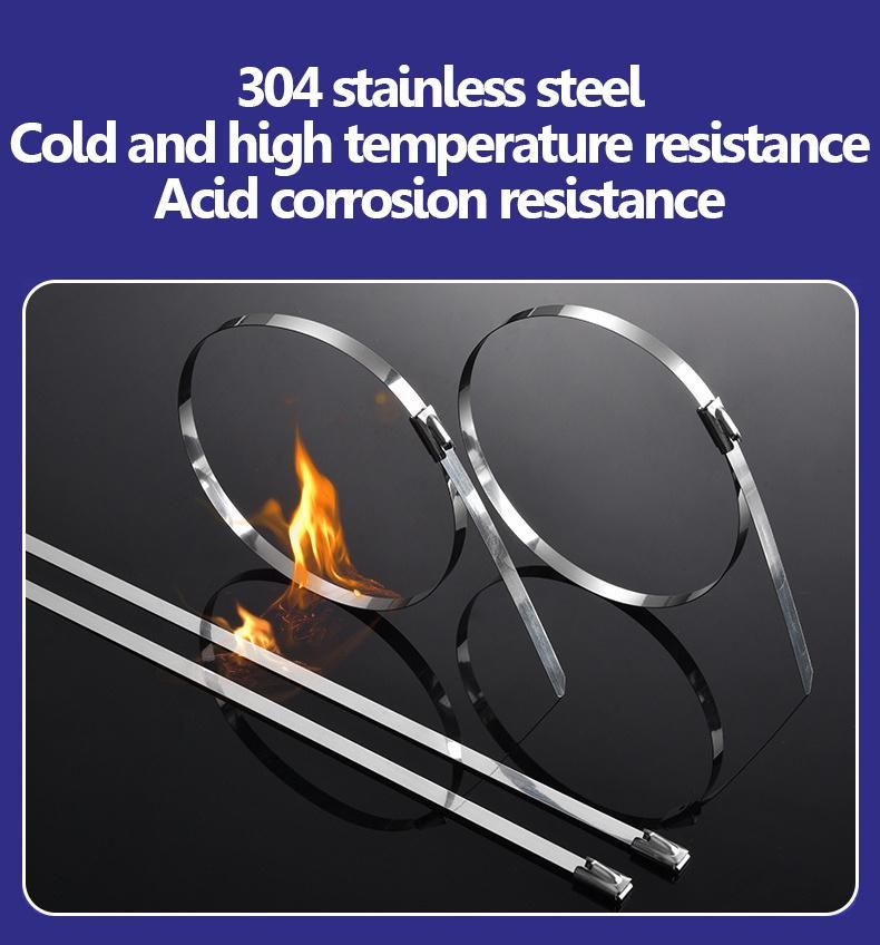 Factory Direct 4.6*300mm SS304 SS316 Stainless Steel Metal Ball Lock Wire Belt Buckle Cable Ties