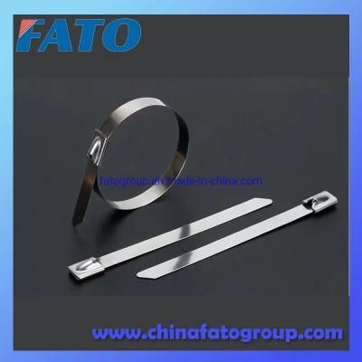 Professional Manufacture Ss Cable Ties 304 Material 7.6X300mm