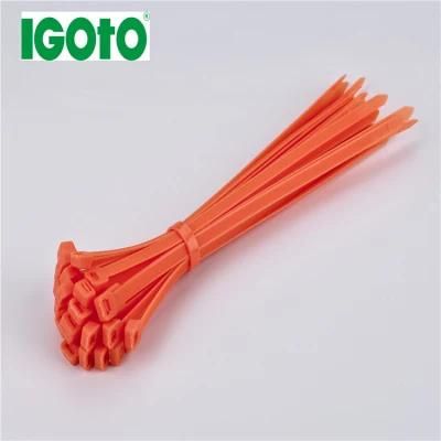 Hot Sale Factory Supply Free Sample Self Lock Nylon Ties Cable Tie Plastic