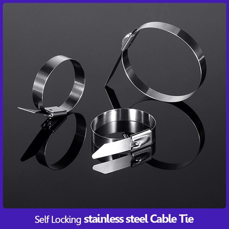 Stainless Steel Cable Tie Self Locking 4.6*250mm 4.6mm Wide 250mm Length 304 316 Stainless Steel Zip Metal Ball Lock Cable Ties