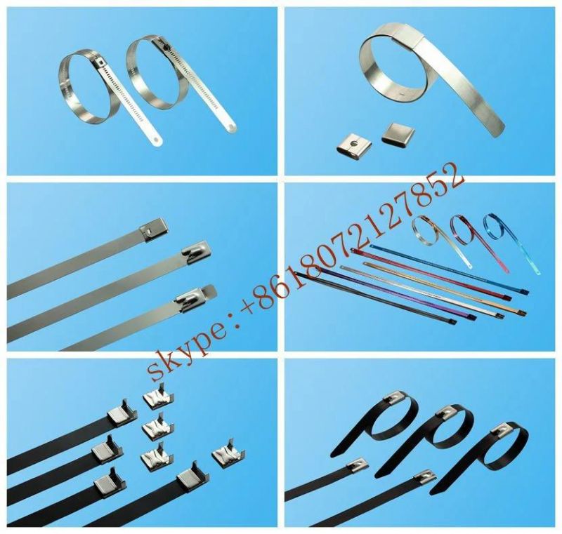 Quick Deliver Date Plastic Coated Stainless Steel Zip Ties with Ball Locking Mechanism