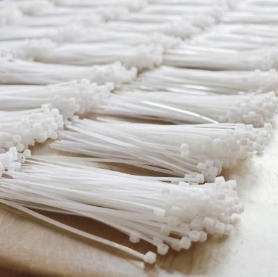 2.5X100-9.0X1020mm Boese 100PCS/Bag White Ties 9mm X 500mm Plastic Tie