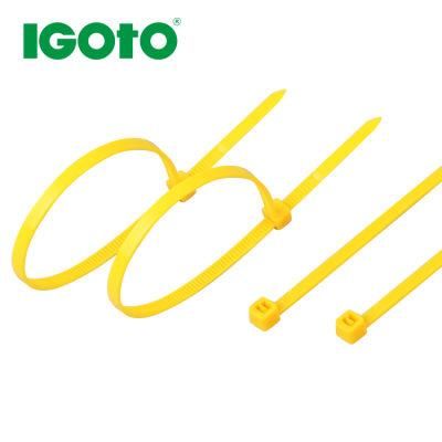 Self-Locking Plastic Nylon 66 Cable Tie Hot Sall Worldwide