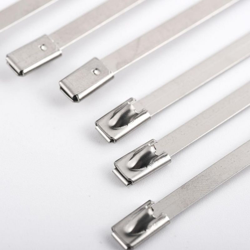 316 Stainless Cable Ties