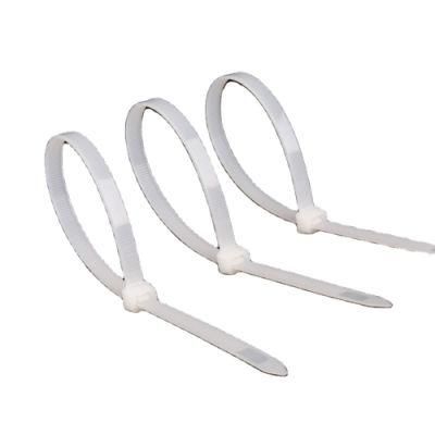 Self-Locking Type and Nylon Material Plastic Cable Tie