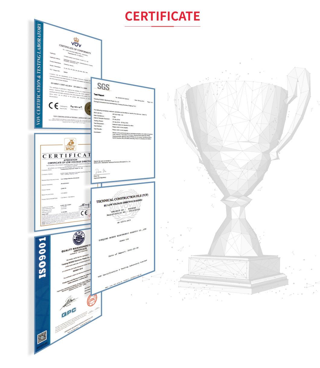 2.5X100-9.0X1020mm Nylon Boese 100PCS/Bag 2.5X100-4.8X400mm Wenzhou Kabelbinder 4.8 Plastic Tie