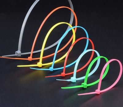 High Tensile Strength New Design Custom Self Gripping Weather Resistant Nylon Cable Tie