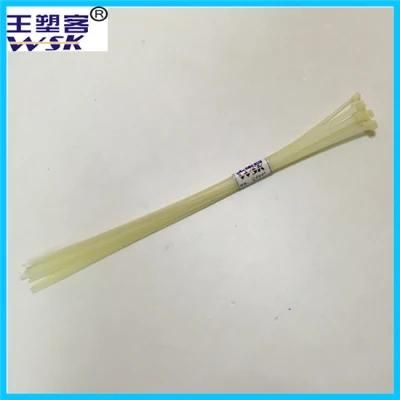 Free Sample Self-Locking Nylon66 Plastic Cable Tie