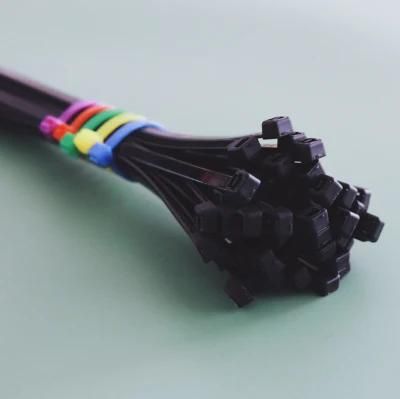 CE Approved Self-Locking Cable Boese 100PCS/Bag Wenzhou Zip Ties Plastic Tie