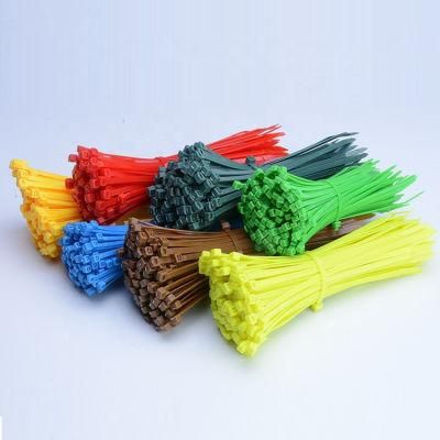 High Quality UV Whether Resistant Own Factory Produce PA66 Nylon Cable Tie