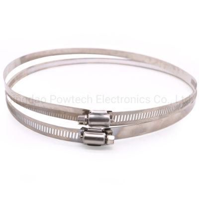 Stainless Steel Orbit Hose Clip for Pole