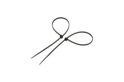 High Quality Colorful Nylon 66 Plastic Cable Tie with SGS