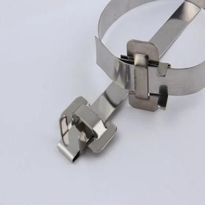 Stainless Steel Metal Cable Tie 4.6mm Multi-Purpose Locking Cable Ties