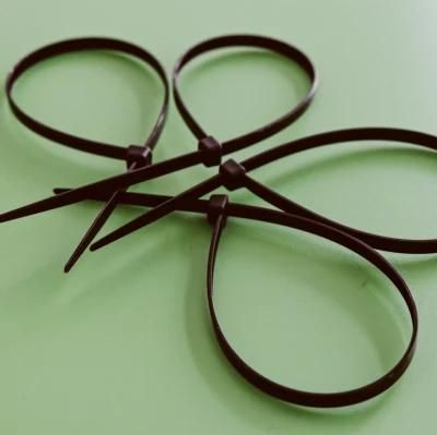 CE Approved PA66 100PCS/Bag 3.6X250mm Releasable 370 Nylon Cable Tie with High Quality 3.6X250