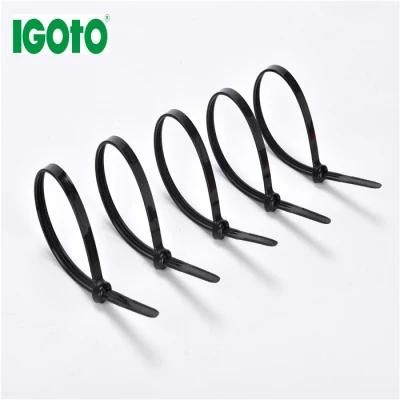 Removable Thick Wide Self Locking PA66 or PA6 Nylon Self-Locking Screw Cable Zip Ties