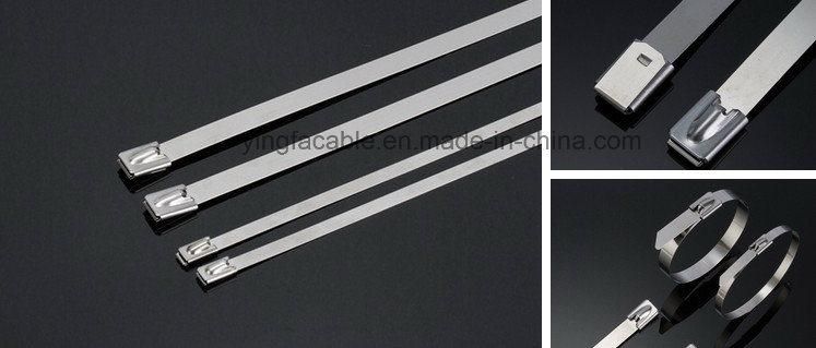 316 Stainless Steel Cable Ties Ball Lock Uncoated Ties