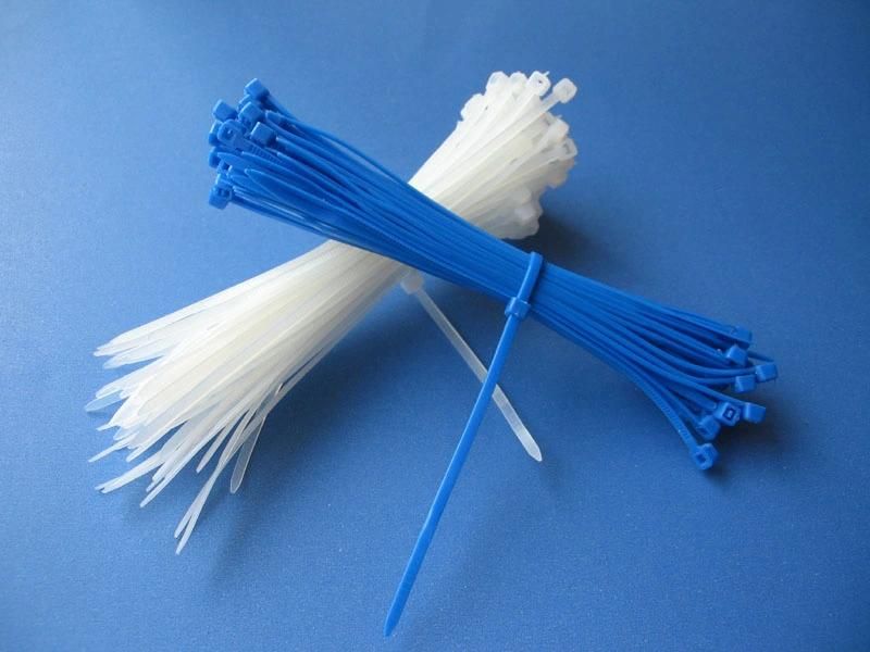 (2.6*200mm) Nylon Cable Tie for Commodity Security Use