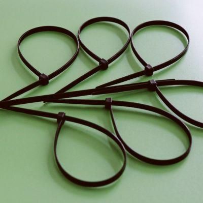 Cheap Price Self-Locking Cable Boese 100PCS/Bag Wenzhou Self Locking Ties Plastic Tie with CE