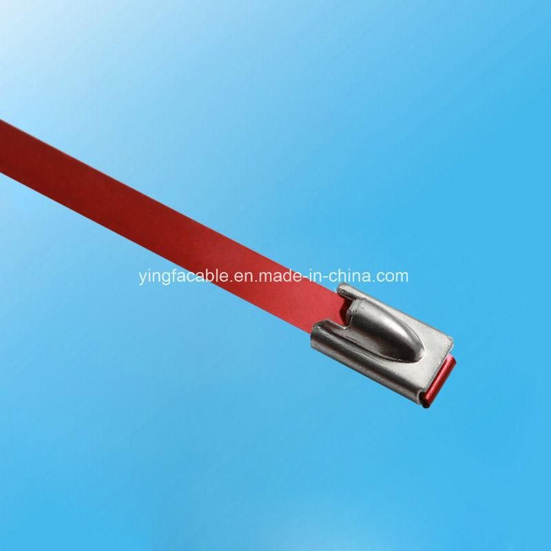Strong Strength Stainless Steel Grade Metal Locking Cable Ties 4.6X250mm