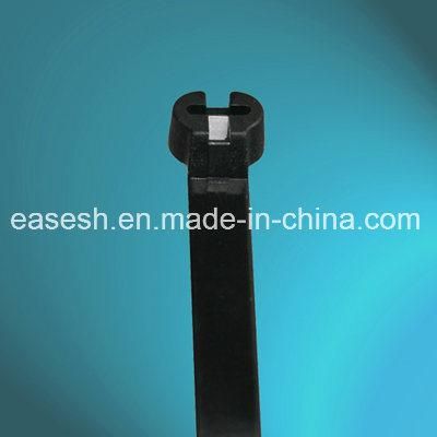 Chinese Manufacture Stainless Steel Plate Lock Nylon Cable Ties