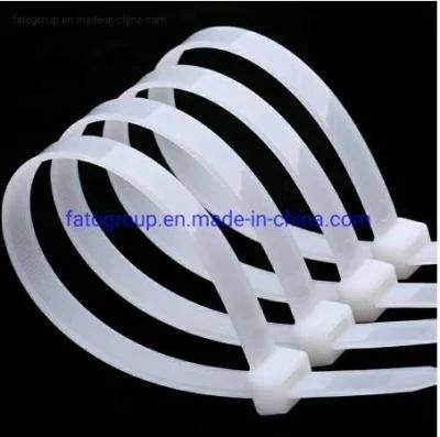 China Professional Manufacture European Quality Nylon Cable Ties