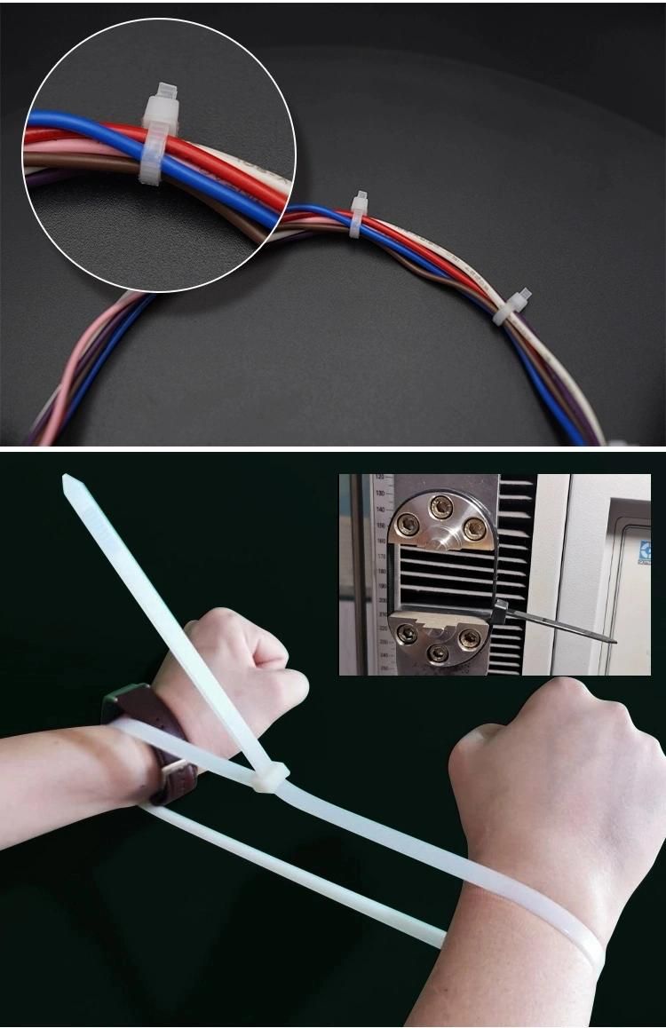 Self-Locking PA66 UL 94V-2 Plastic Nylon Cable Tie with UL