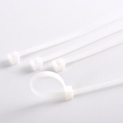 High Quality 94V Nylon Cable Tie