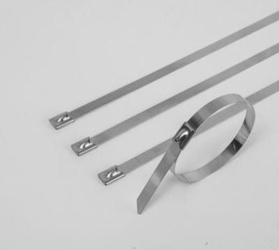 Manufacturer 4.6X300 304 Metal Wire Self Locking Stainless Steel Cable Tie