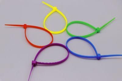 2.5X100-9.0X1020mm Nylon Boese 100PCS/Bag 2.5X100-4.8X400mm Wenzhou Kabelbinder 4.8 Plastic Tie