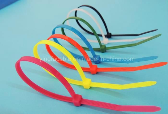 Self Locking Plastic Nylon Cable Ties with Steel Ball