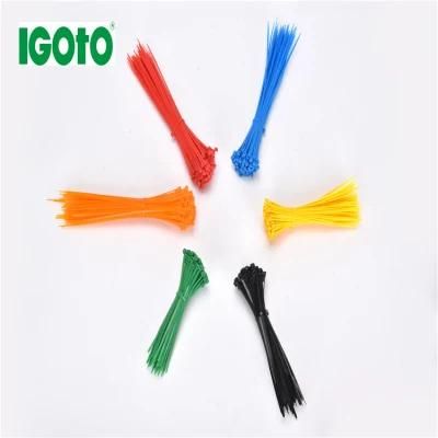 Hot Sale Eco Friendly Self-Locking Nylon PA66 Label Tag Plastic Cable Zip Ties