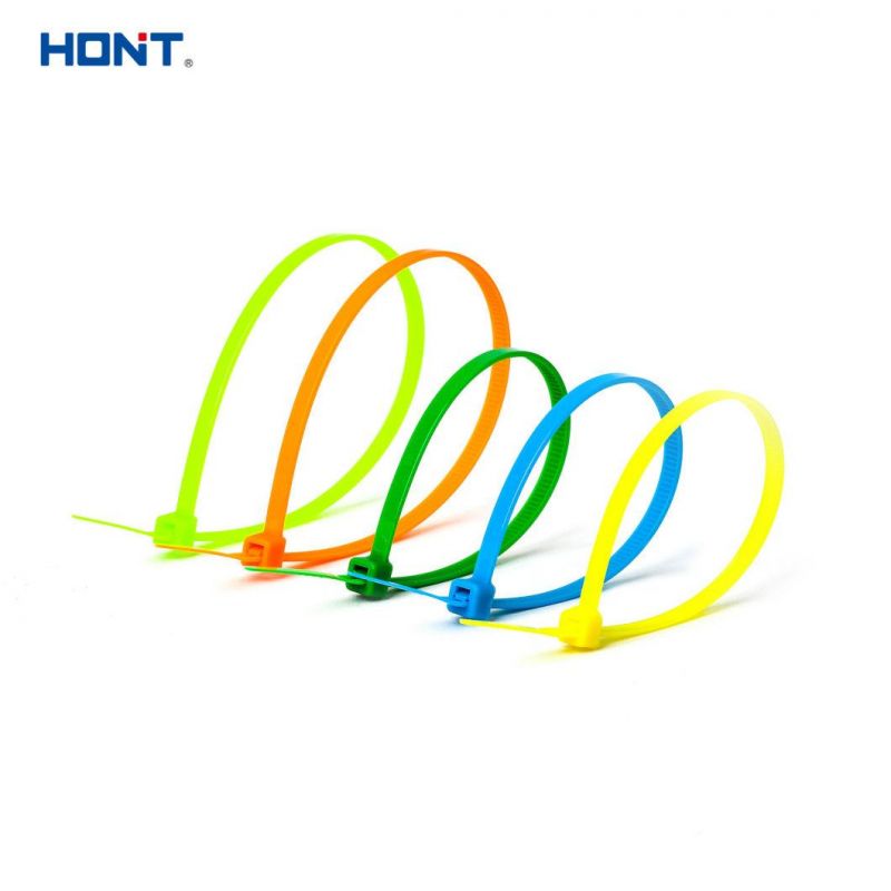 Plastic Ht-2.5*80mm Self Locking Nylon Cable Tie with SGS