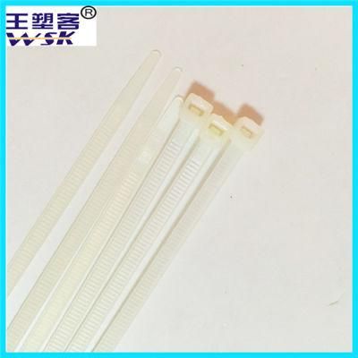 Disposal Plastic Cable Tie Binding Nylon Cable Tie