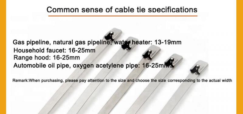 SS304 & 316 Metal Wire Self Ball Locking Stainless Steel Cable Tie Buckles Manufacturer with CE