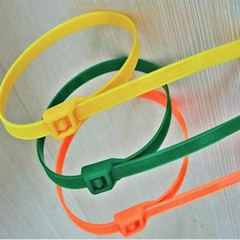 Factory Price PA66 Nylon Cable Zip Tie Double Loop Wire Tie