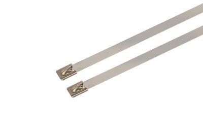 Low Price 100PCS/Bag Wenzhou Zip Ties Cable Accessories Stainless Steel Tie with RoHS