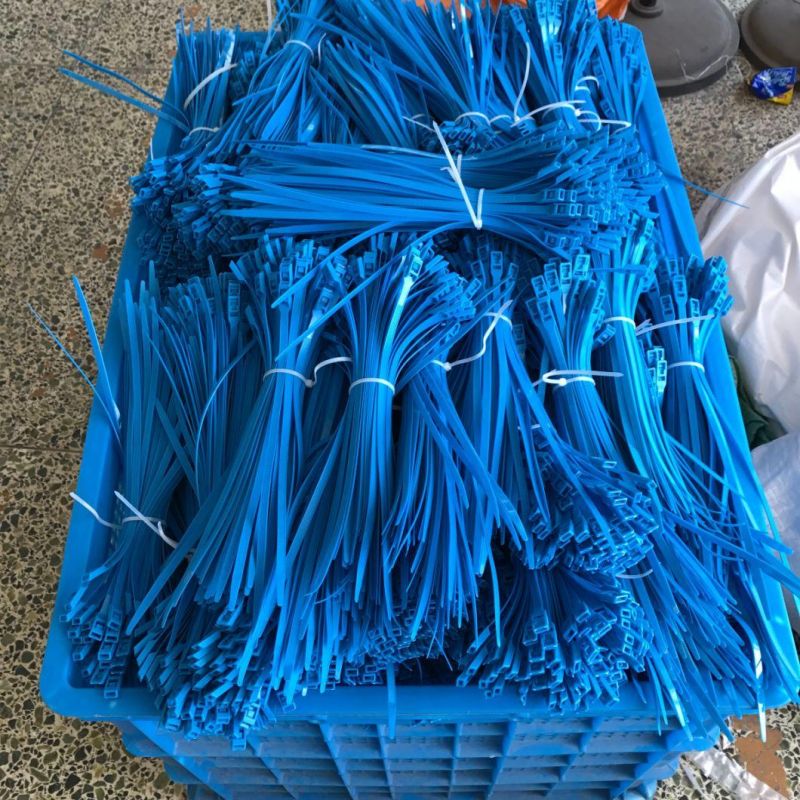 Blue Nice Quality PA6 Self-Locking Cable Tie